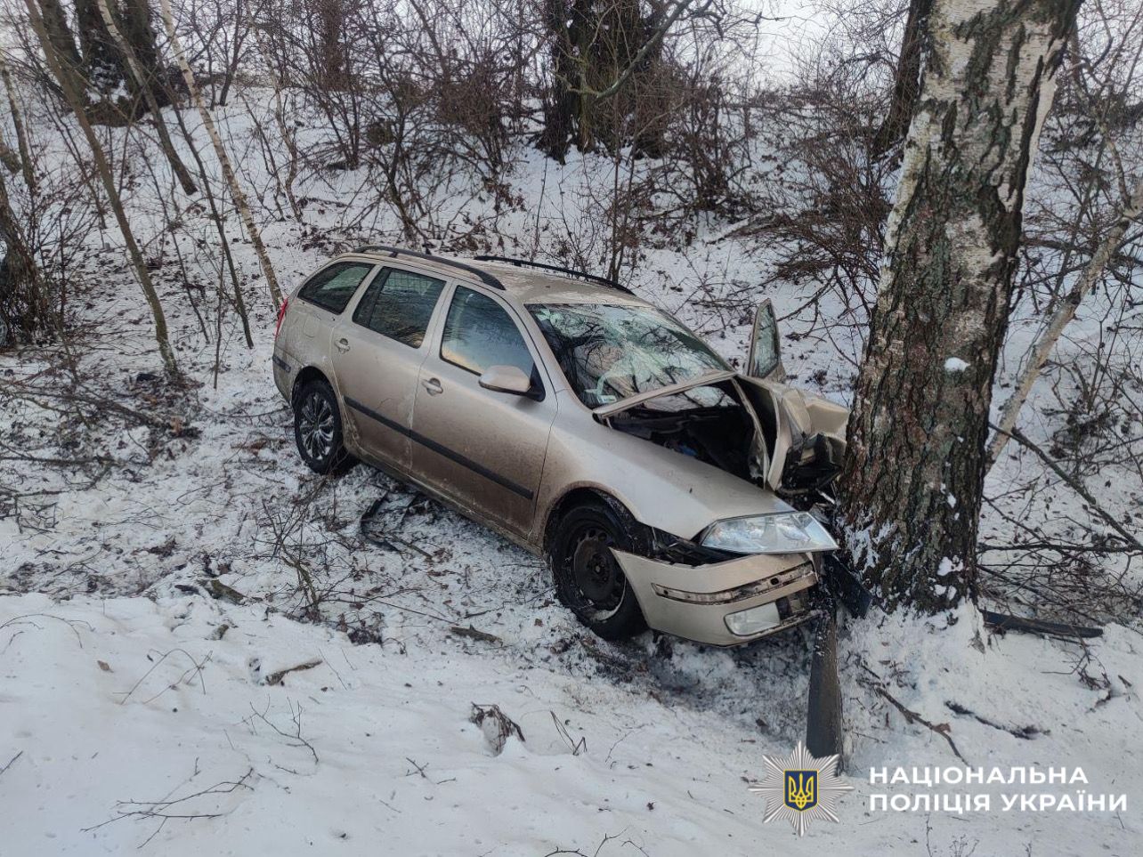 На Київщині п’яний водій не впорався з керуванням і в’їхав в дерево (фото)