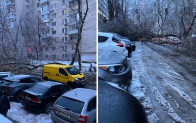 Негода у Києві 8 січня: ожеледиця, падіння дерев, складна ситуація на дорогах
