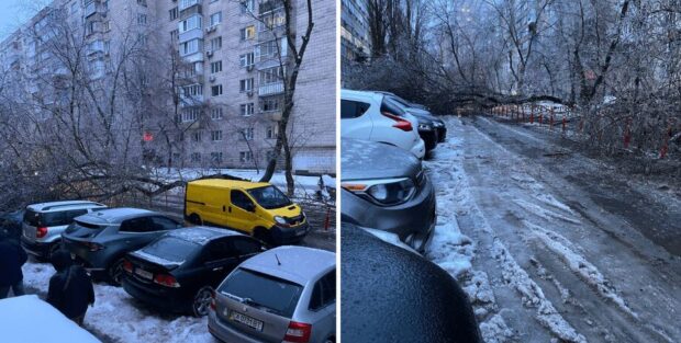 Негода у Києві 8 січня: ожеледиця, падіння дерев, складна ситуація на дорогах