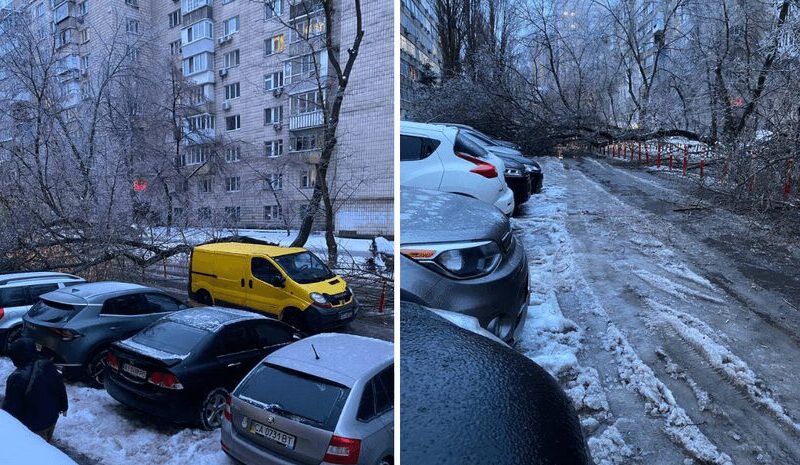 У Києві через крижаний дощ падають дерева, вулиці стали “ковзанками”