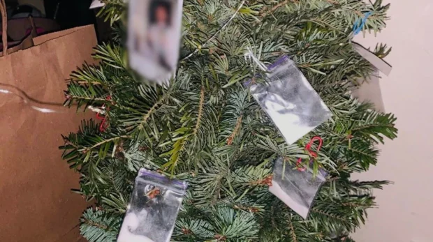 У Києві затримали іноземця з наркотиками на ялинці — деталі справи