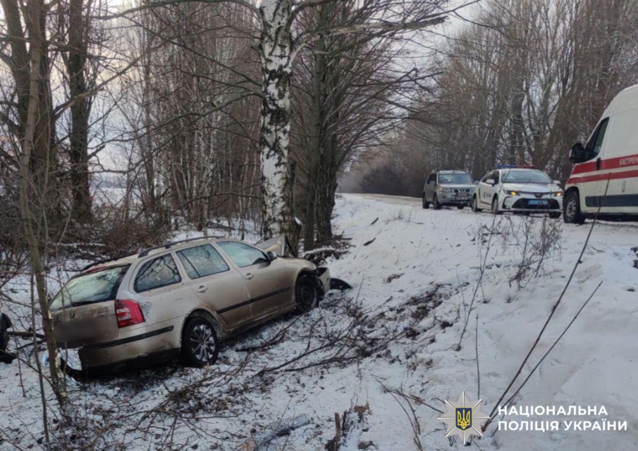 Водій Skoda на Бориспільщині наїхав на дерево в п'яному вигляді