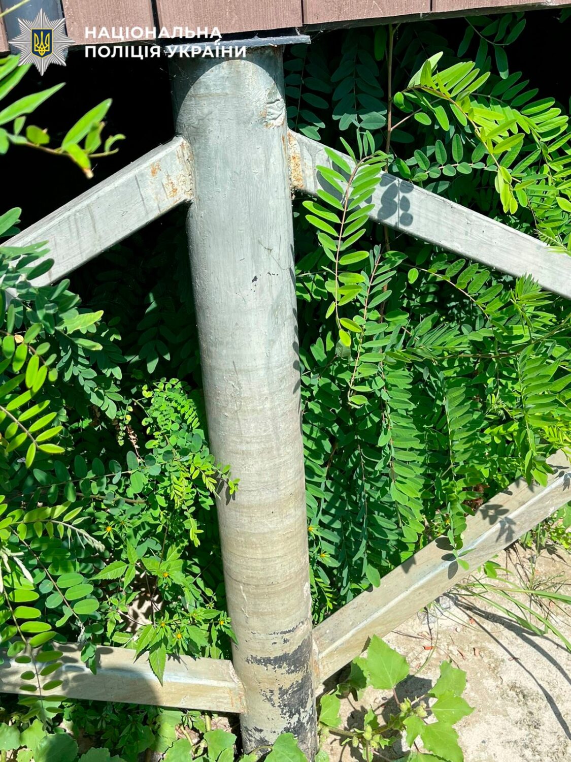 Поліція Києва викрила службовцю «Київзеленбуду» у завищених цінах при ремонту парку на Дніпровській набережній