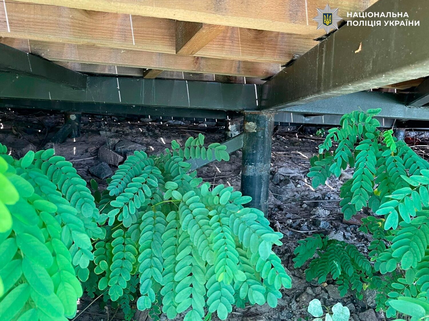 Поліція Києва викрила службовцю «Київзеленбуду» у завищених цінах при ремонту парку на Дніпровській набережній