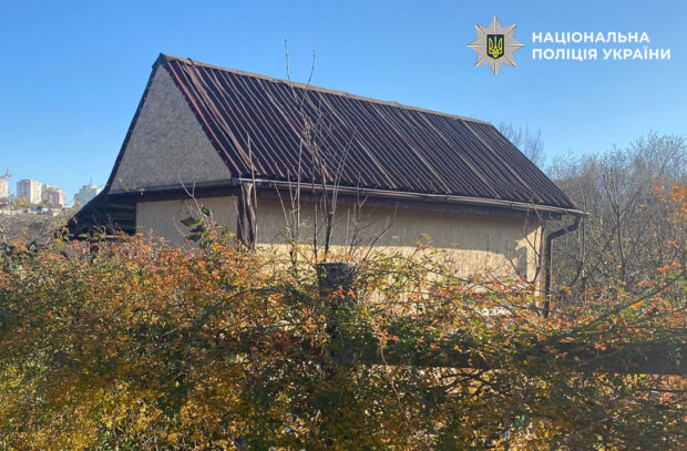 Киянка отримала підозру за будинок у парку Голосіївський