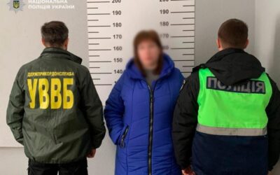 Киянка видала себе за матір новонародженої, щоб вивезти дитину: поліція повідомила про підозру