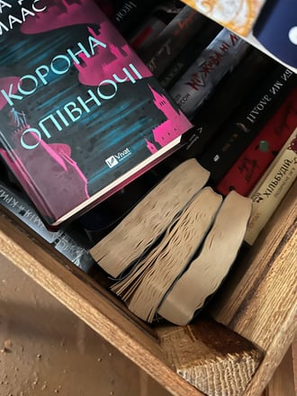 Прорив опалення затопив книги на 1,7 млн грн у київській книгарні «Моя книжкова полиця»
