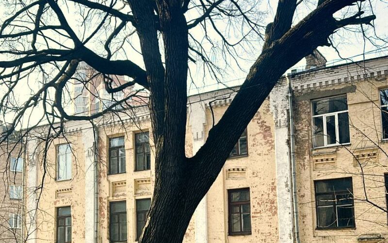 Київрада оголосила Дуб Миколи Пимоненка ботанічною пам’яткою природи місцевого значення