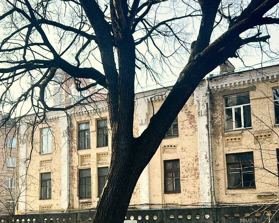 Київрада оголосила Дуб Миколи Пимоненка ботанічною пам’яткою природи місцевого значення