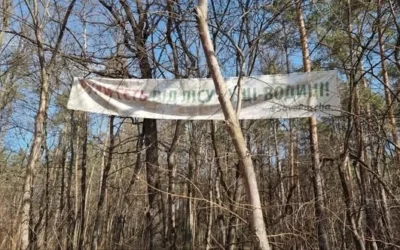 У Пущі-Водиці можуть знищити 10 гектарів рекреаційного лісу