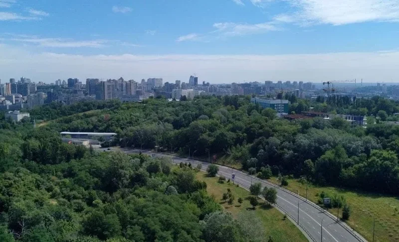 Протасів Яр, який обіцяли зберегти в пам’ять про Ратушного, під загрозою забудови: суд скасував статус