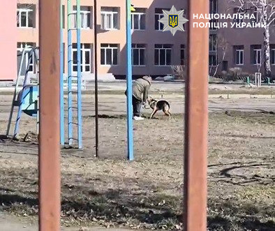 Поліція Києва притягнула жінку за побиття собаки на вулиці