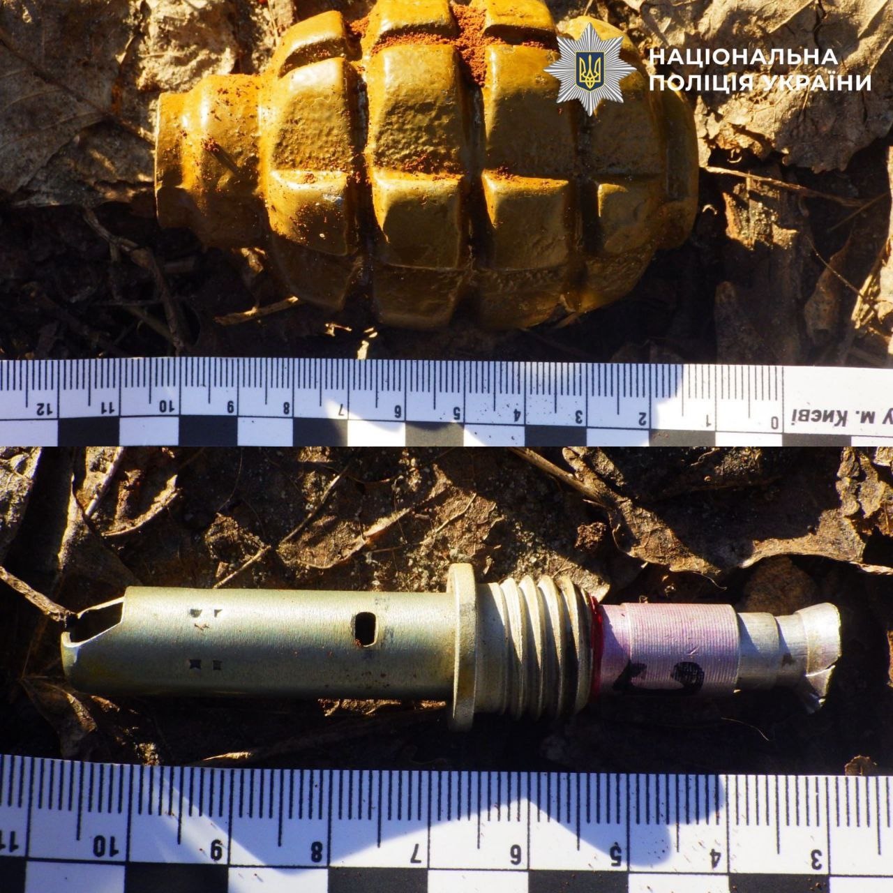 Киянин підірвав гранату в квартирі: затримання в Дніпровському районі