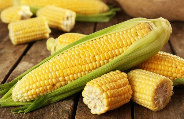 Чорнобильська зона: незаконне вирощування врожаю на 190 гектарах без дозволу