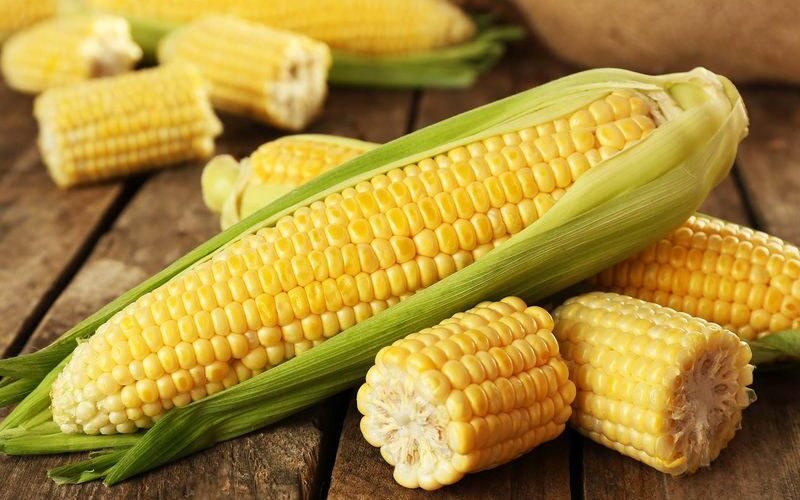 У Чорнобильській зоні роками незаконно вирощують врожай
