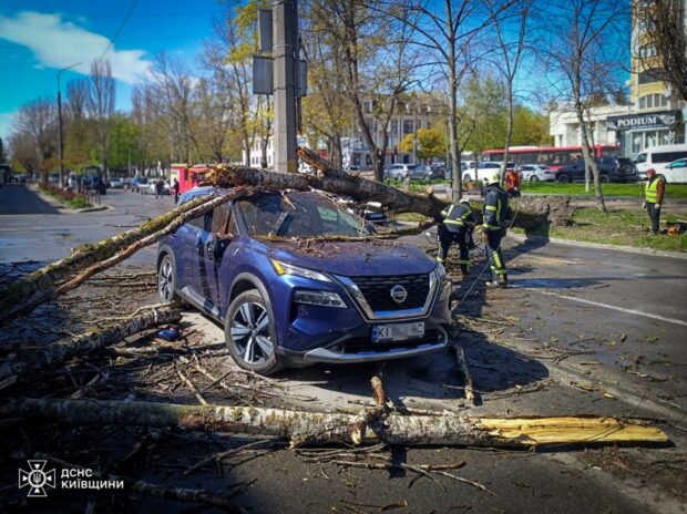 На Київщині негода залишила 1200 родин без світла