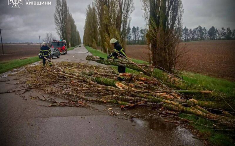 На Київщині ліквідовують наслідки негоди: майже 60 тисяч споживачів без світла