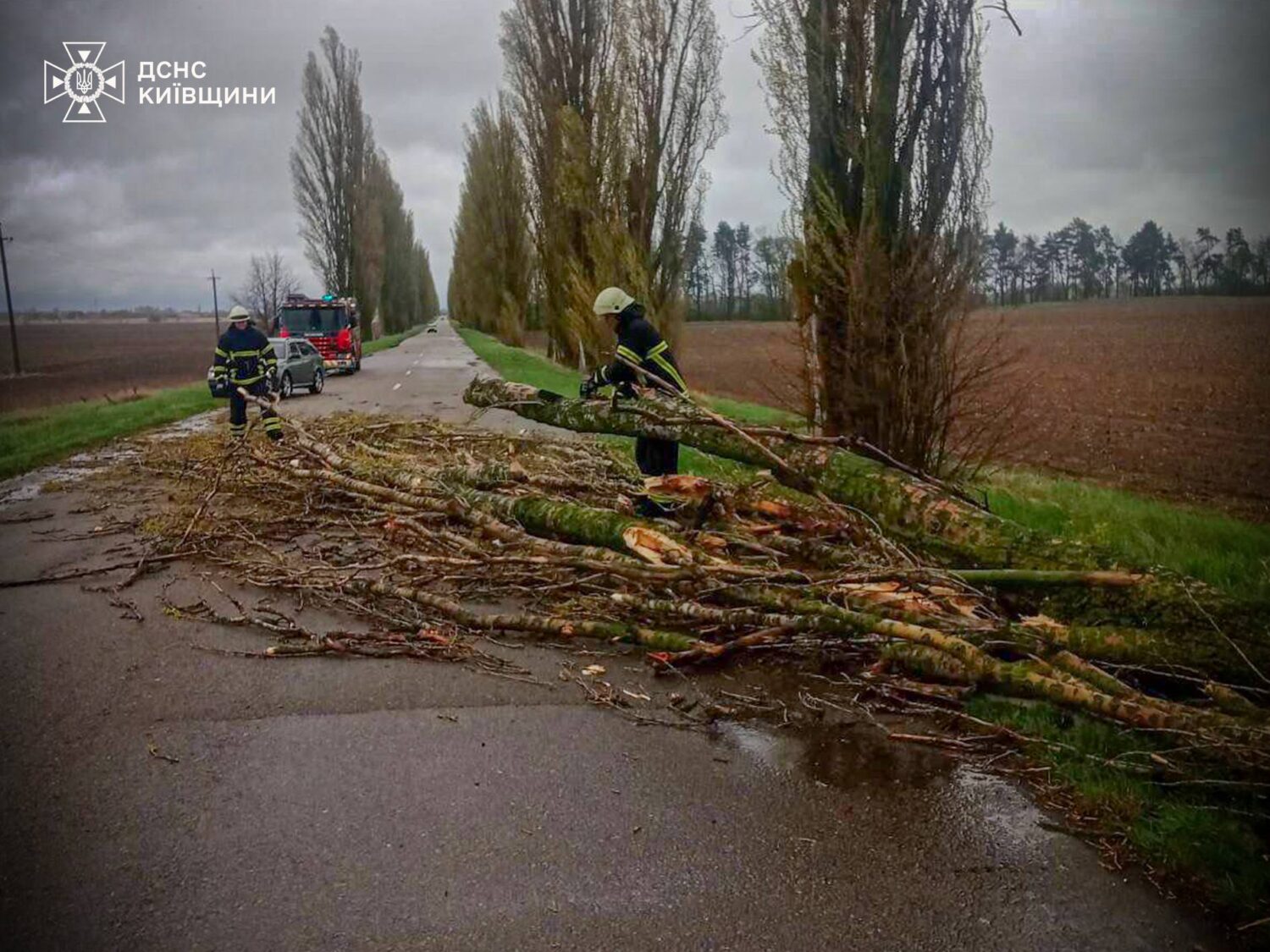 На Київщині ліквідовують наслідки негоди: майже 60 тисяч споживачів без світла
