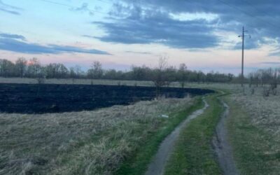 Запустив феєрверк і влаштував пожежу: на Київщині затримали юнака