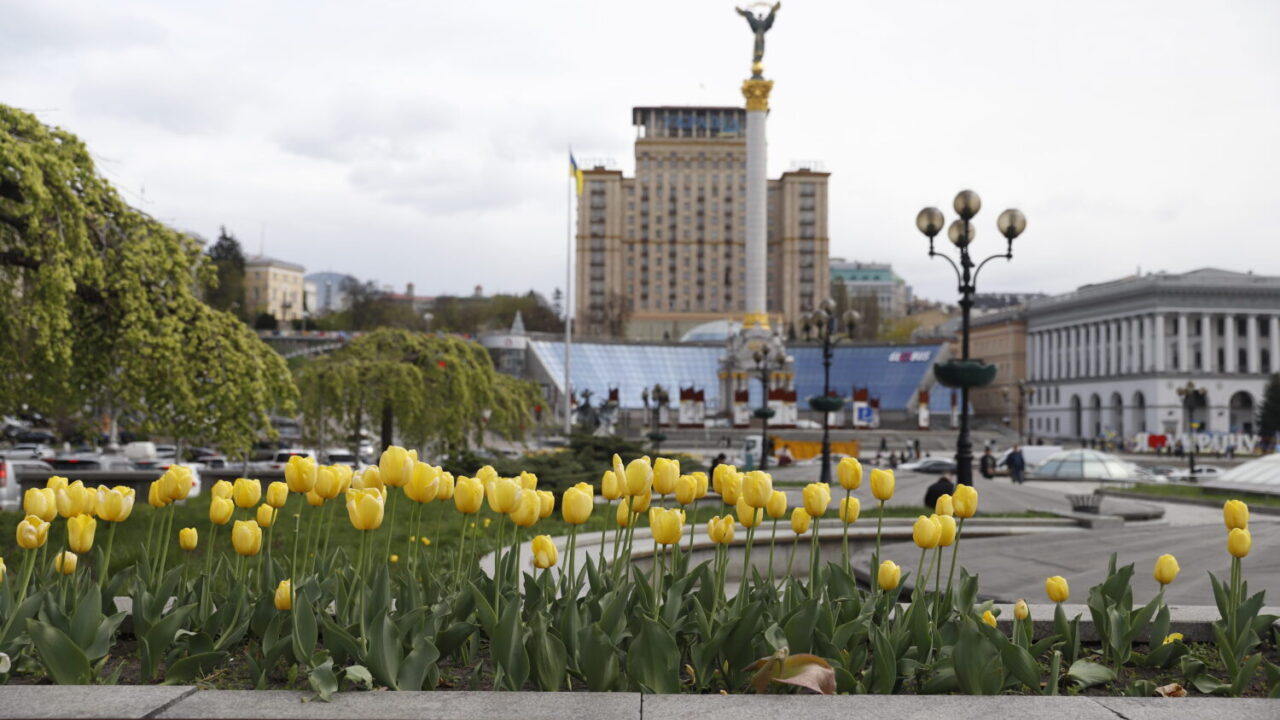 У Києві розквітають перші тюльпани (фото)