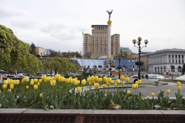 У Києві розквітають перші тюльпани