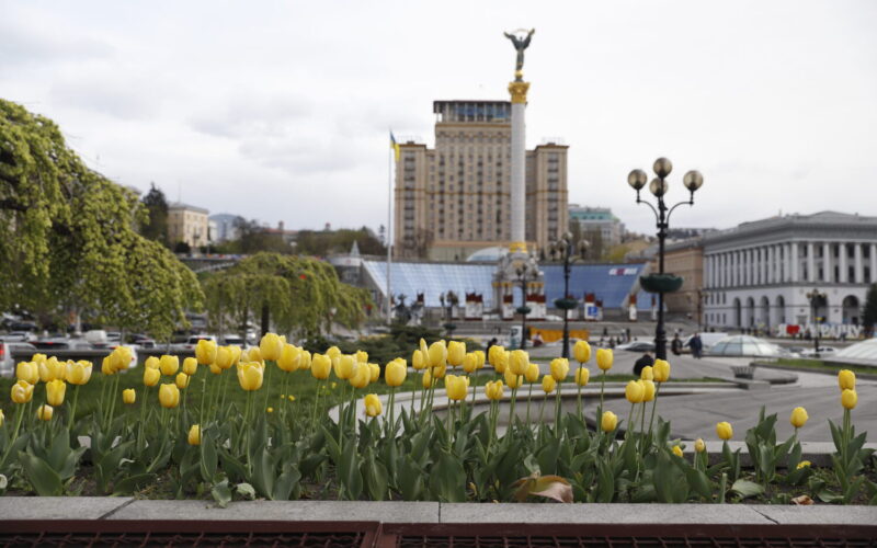 У Києві розквітають перші тюльпани (фото)