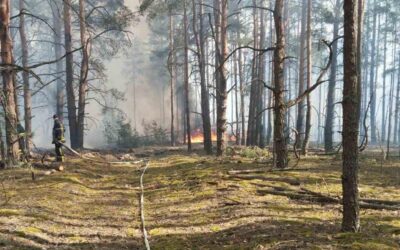 Загоряння виникло внаслідок падіння двох БпЛА: у Зоні відчуження гасять пожежу
