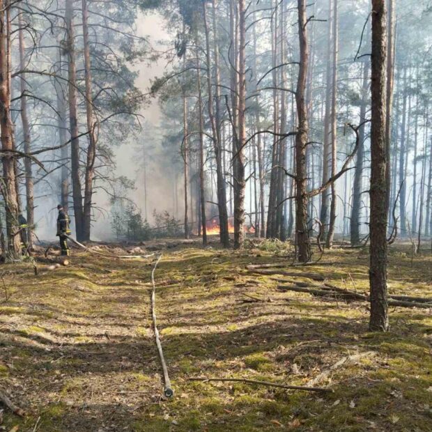 Загоряння виникло внаслідок падіння двох БпЛА: у Зоні відчуження гасять пожежу