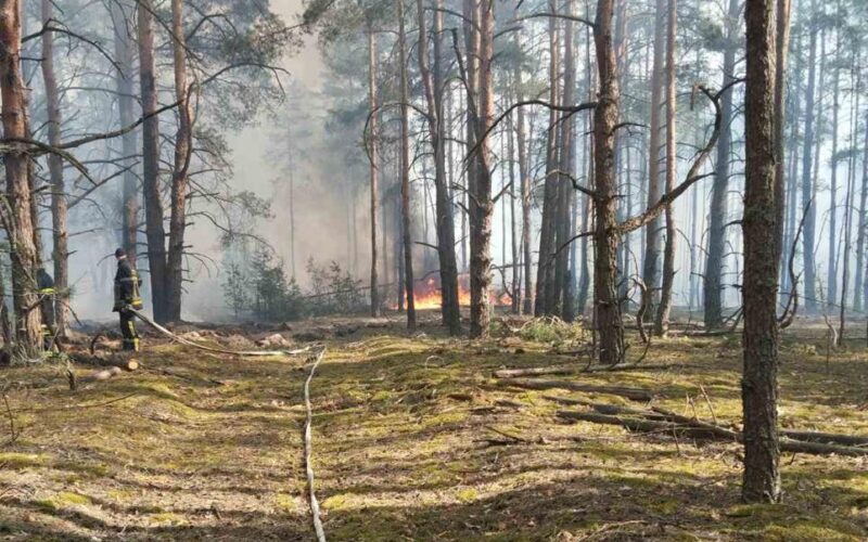 Загоряння виникло внаслідок падіння двох БпЛА: у Зоні відчуження гасять пожежу