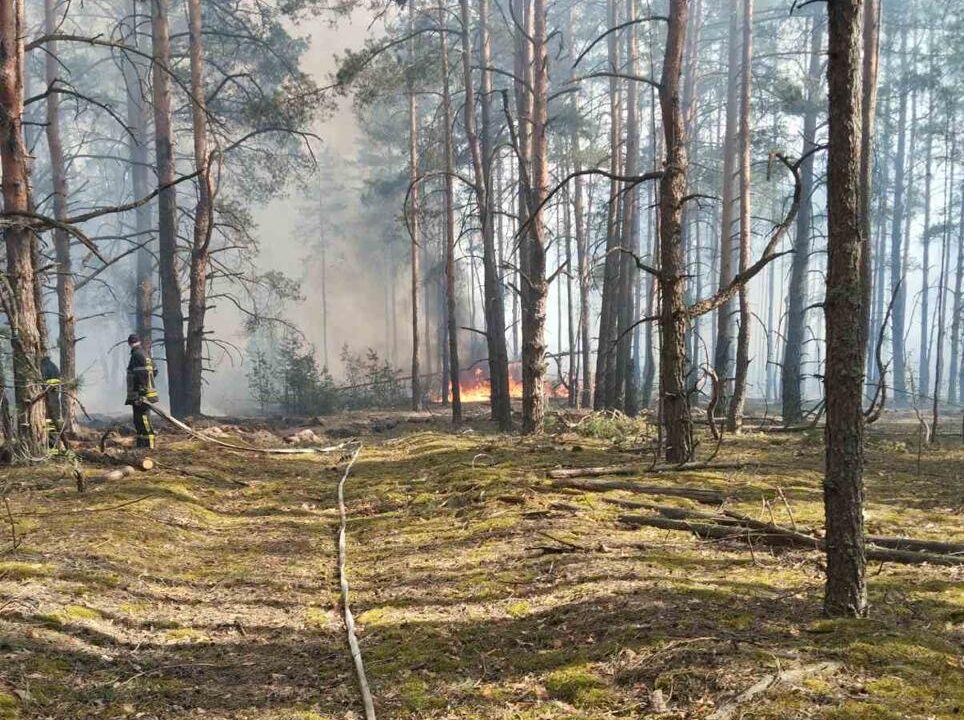 Загоряння виникло внаслідок падіння двох БпЛА: у Зоні відчуження гасять пожежу