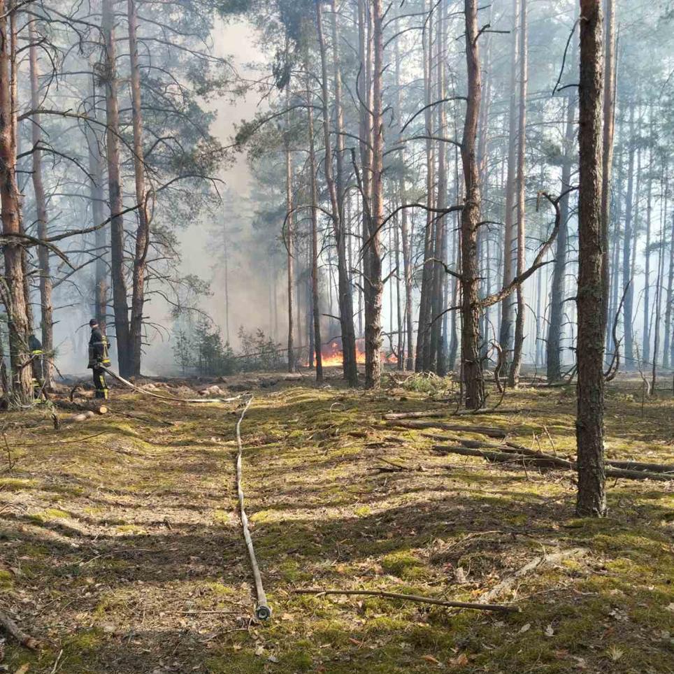 Загоряння виникло внаслідок падіння двох БпЛА: у Зоні відчуження гасять пожежу