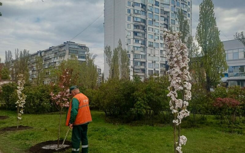 У межах акції «1 мільйон дерев життя» у столиці висадили 633 дерева та кущі