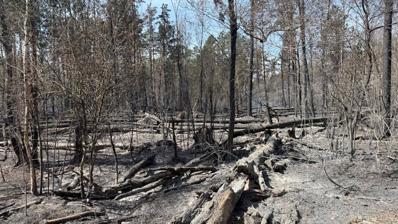 Пожежа в Чорнобильській зоні охопила 1200 гектарів