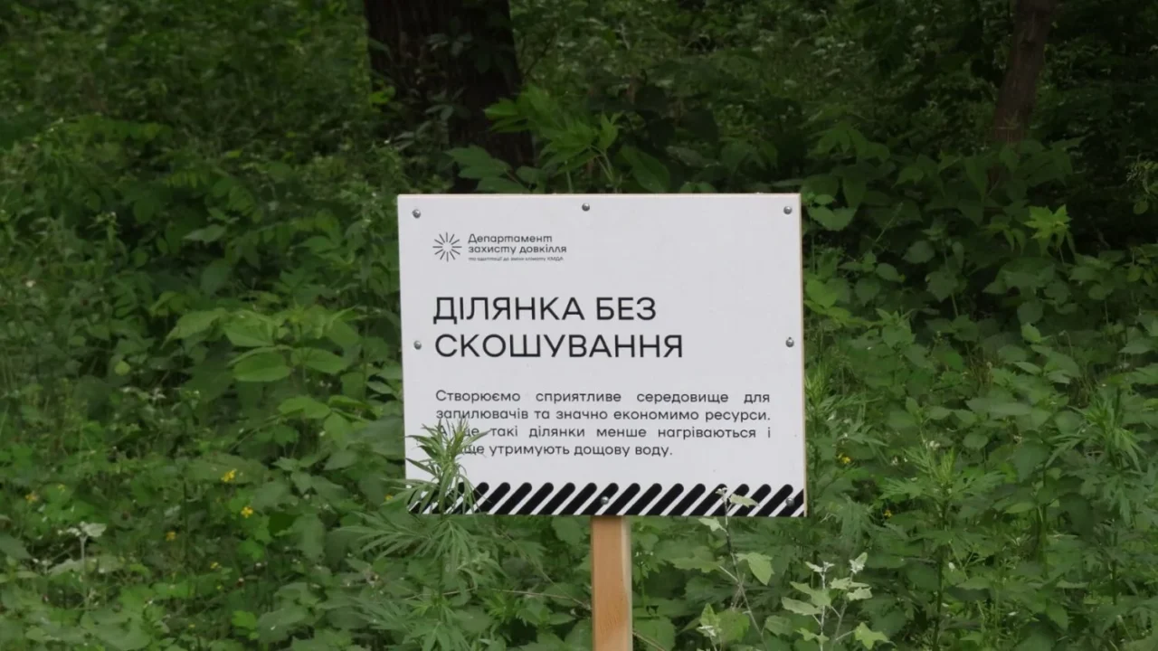 У Києві збільшується кількість ділянок із природним режимом утримання трав’яного покриву