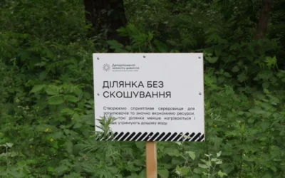 У Києві збільшується кількість ділянок із природним режимом утримання трав’яного покриву