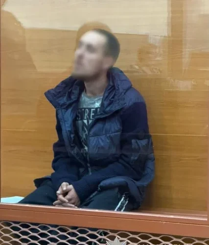 Перерізав горло неповнолітній дівчині на Київщині: зловмиснику обрано запобіжний захід (відео)