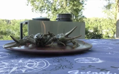 Раки від Шефа — 2