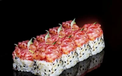SALMON SUSHI — 5
