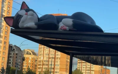 На зупинках у Києві з’явилися великі скульптури котів