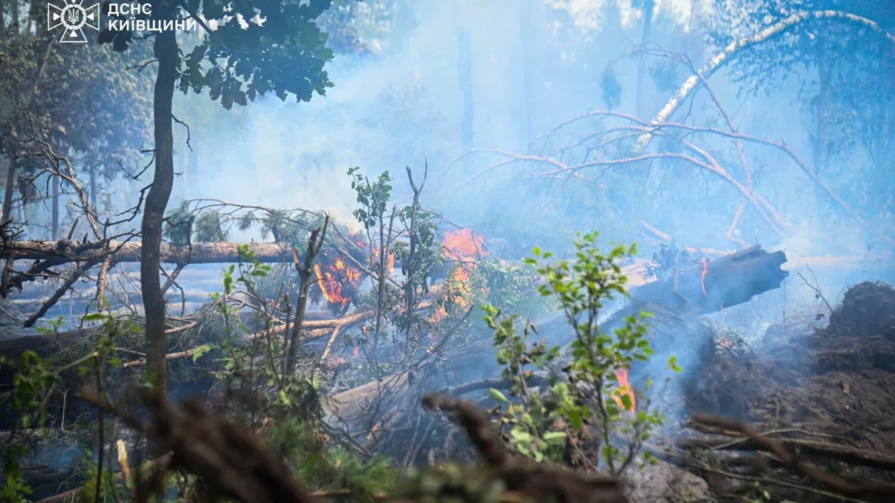 Пожежу в Чорнобильській зоні локалізовано: радіаційний фон у нормі (відео)