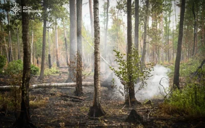У Чорнобильській зоні ліквідували пожежу, яку гасили два тижні (відео)