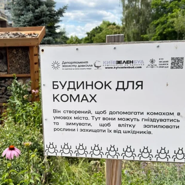 Будиночки для комах у парках Києва: навіщо встановлюють