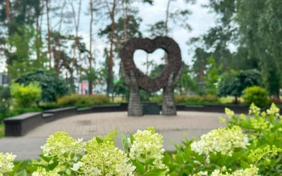 У Києві розквітли гортензії: локації для прогулянок та фотосесій