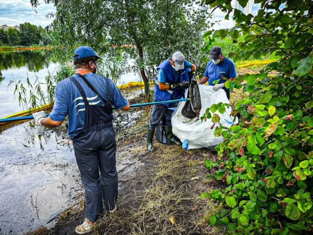 У Києві ліквідовують наслідки забруднення озера Кирилівського: до порятунку водойми залучили науковців