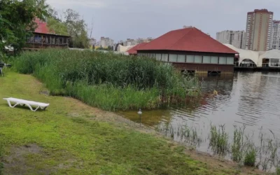 Більярдний клуб «Billiard Hall» Кафе “Очерет” — 4