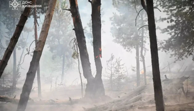 У Чорнобильській зоні знову гасять лісову пожежу (відео)