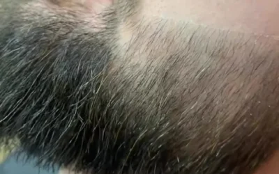 Dali Barbershop — 2