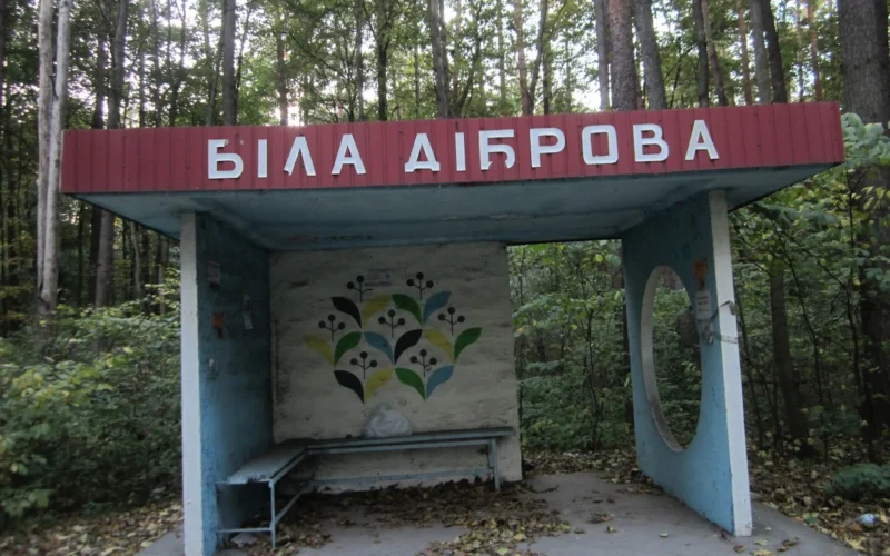 Фото - Кафе "Біла Діброва", кафе у Києві