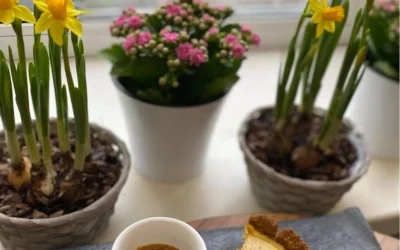 Кав’ярня iLikeCafe — 3