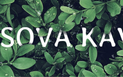 Lisova Kava on 14 lane — 4